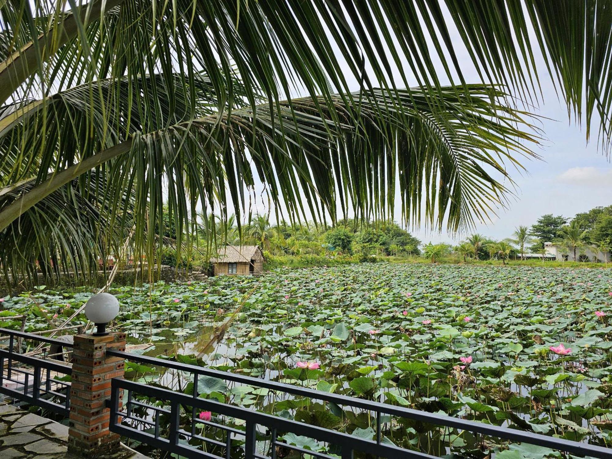 Phu Dien Homestay Каттьен Экстерьер фото